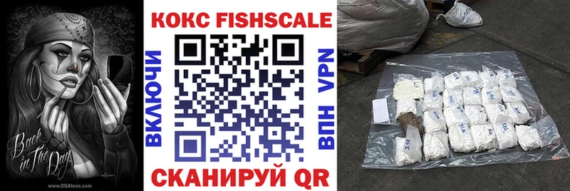 COCAIN Fish Scale Новая Ладога