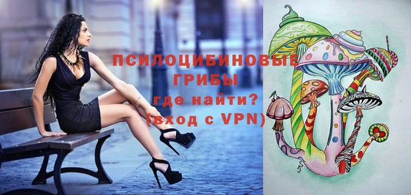 крисы Кукмор