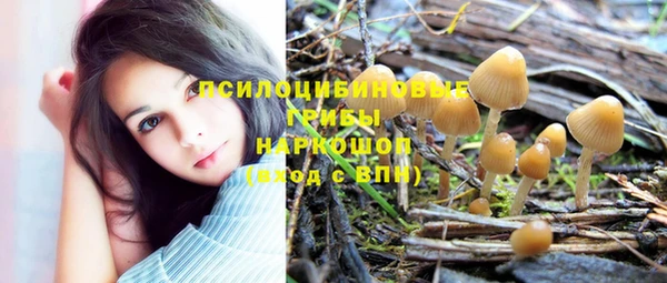 крисы Кукмор