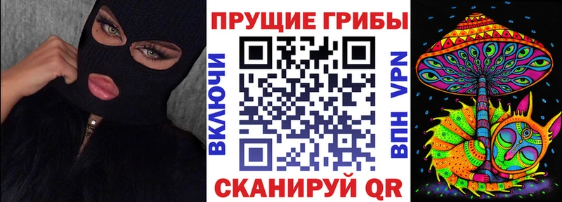 MEGA как войти  Новая Ладога  Галлюциногенные грибы мицелий 